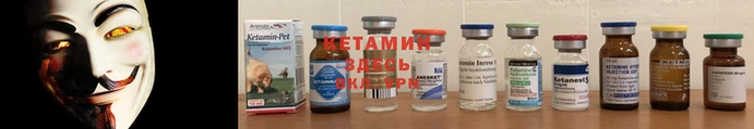 трава Гусь-Хрустальный