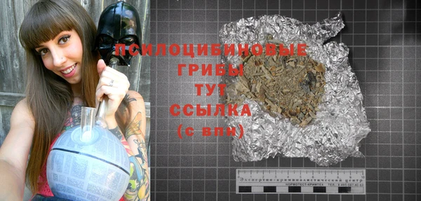 твердый Гусиноозёрск