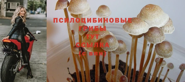 трава Гусь-Хрустальный