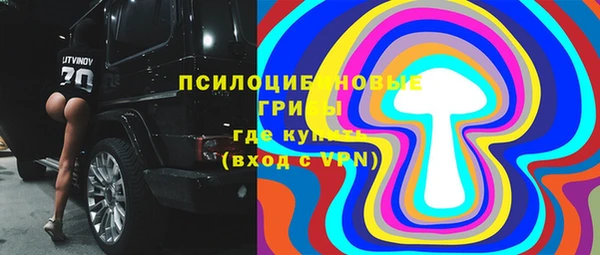 скорость Гусев
