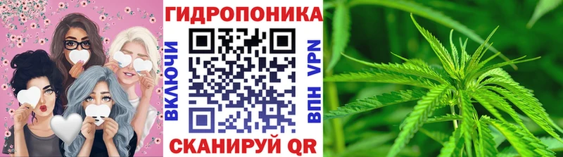 Бошки марихуана конопля  где купить наркоту  Оха 